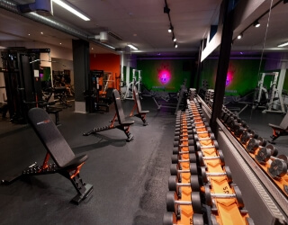 Basic gym treningsmiljø
