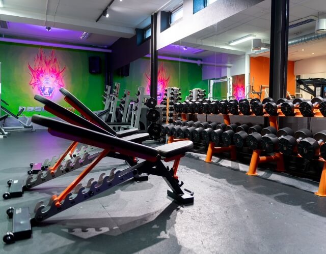 Basic gym treningsmiljø